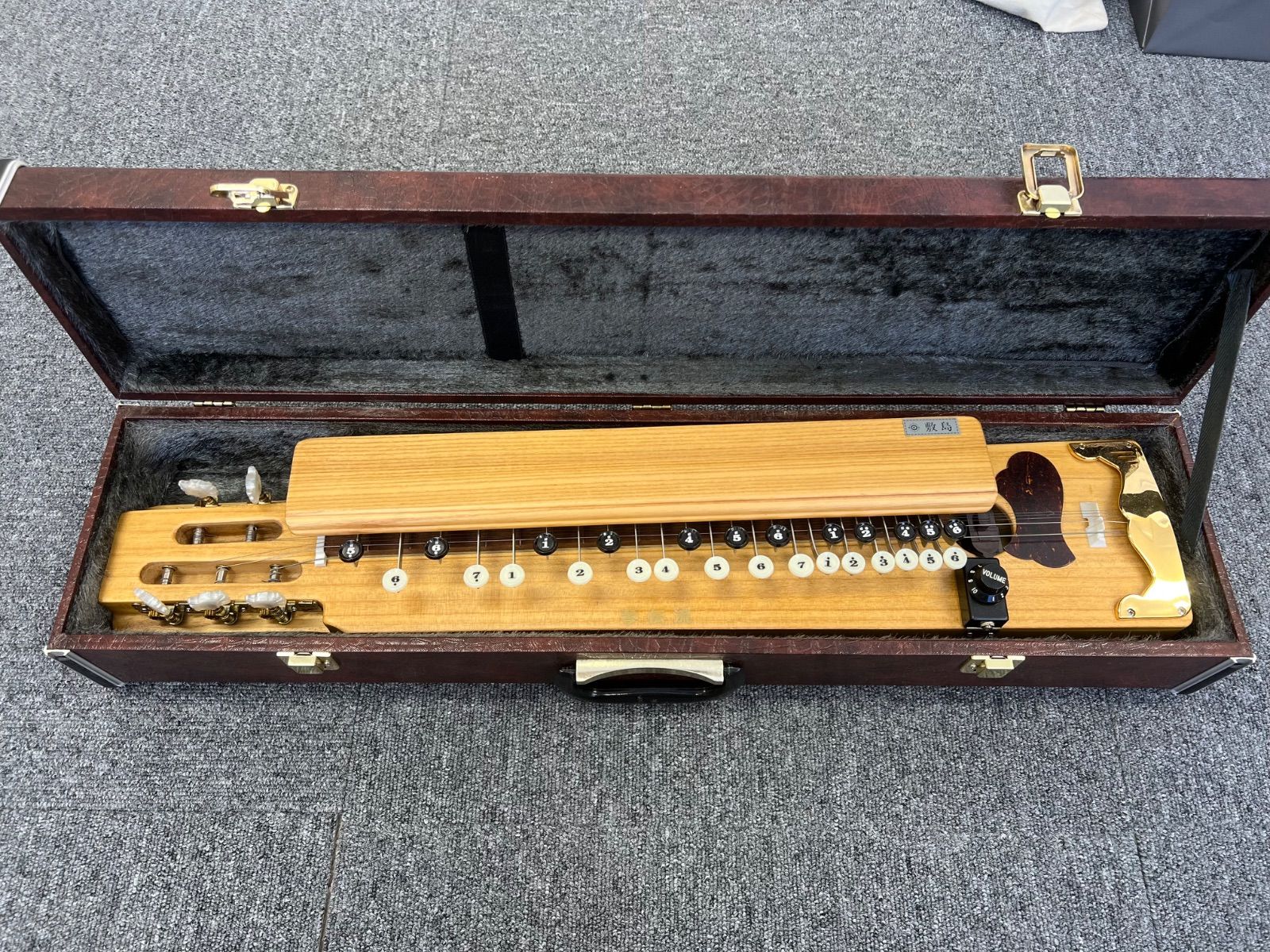 大正琴 琴伝流 ハードケース付き - メルカリ