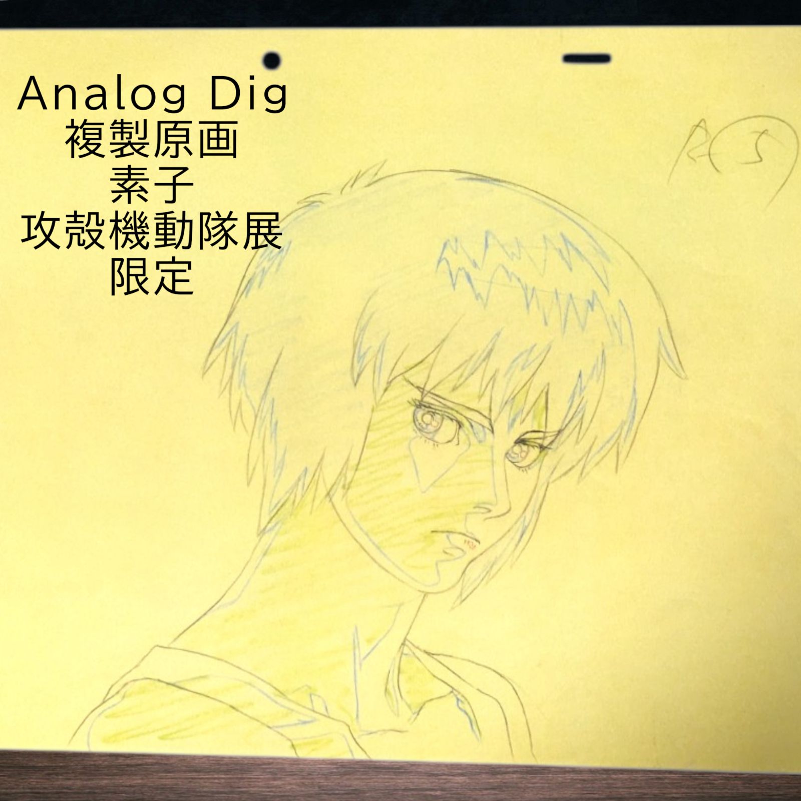 送料無料 24時間以内発送 未使用 特典 複製原画 Analog Dig 素子 攻殻