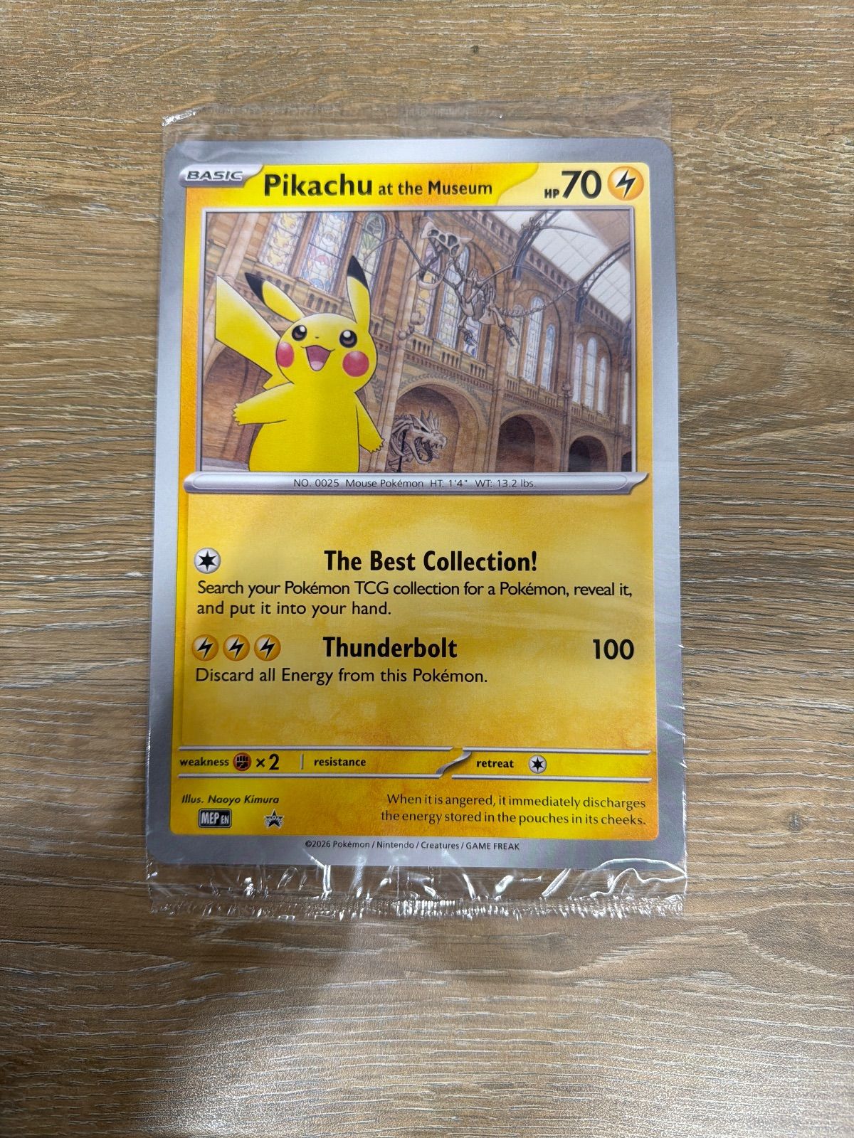 Pikachu at the Museum ロンドン自然史博物館 ピカチュウ - メルカリ