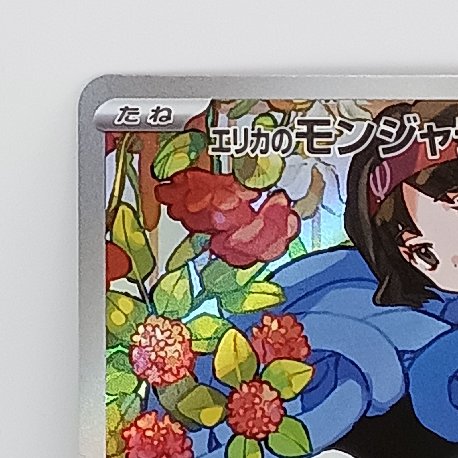 エリカのモンジャラ(AR仕様) - メルカリ