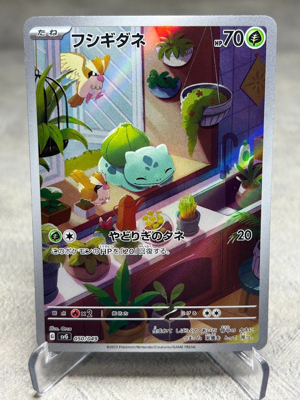 ポケモンカード フシギダネ AR 050/049 スペシャルデッキセットex