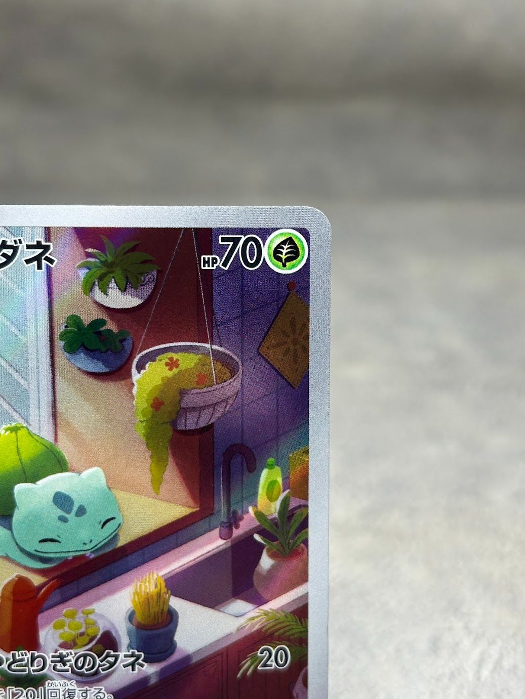 ポケモンカード フシギダネ AR 050/049 スペシャルデッキセットex