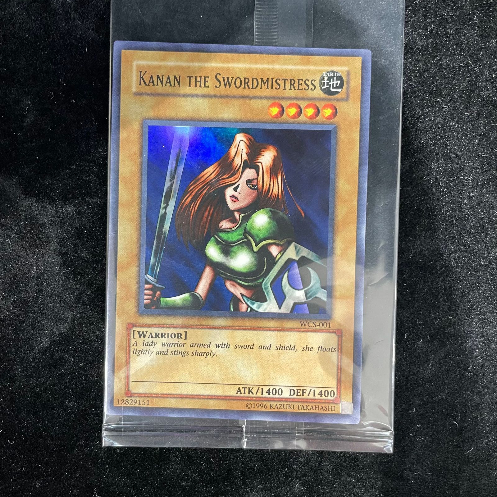 女剣士カナン/Kanan the Swordmistress （未開封）（スーパー） WCS