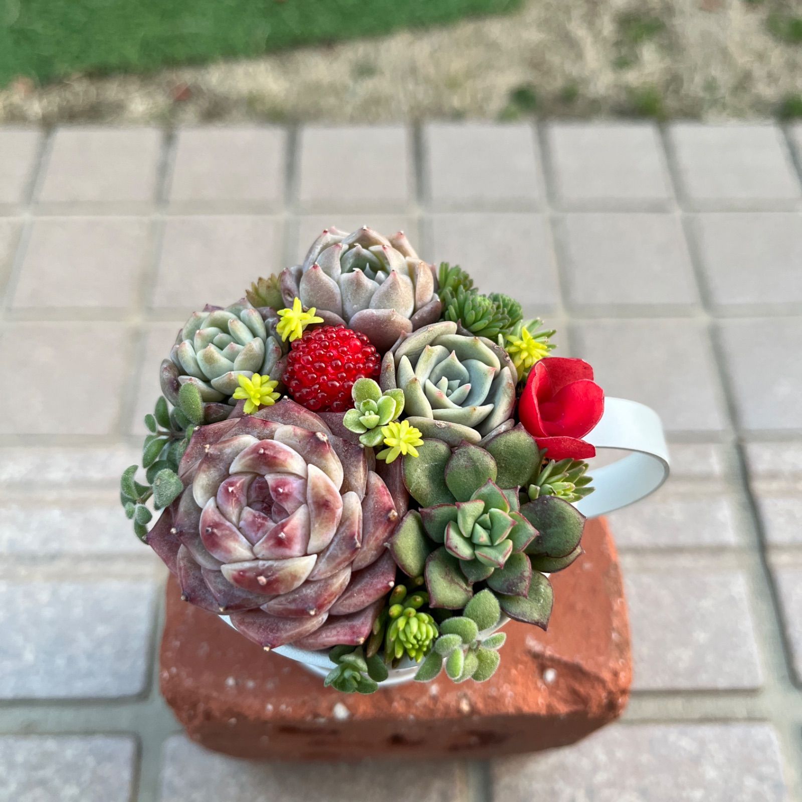 ♡そのまま飾れる♡ブリキカップ♬可愛い多肉植物寄せ植え