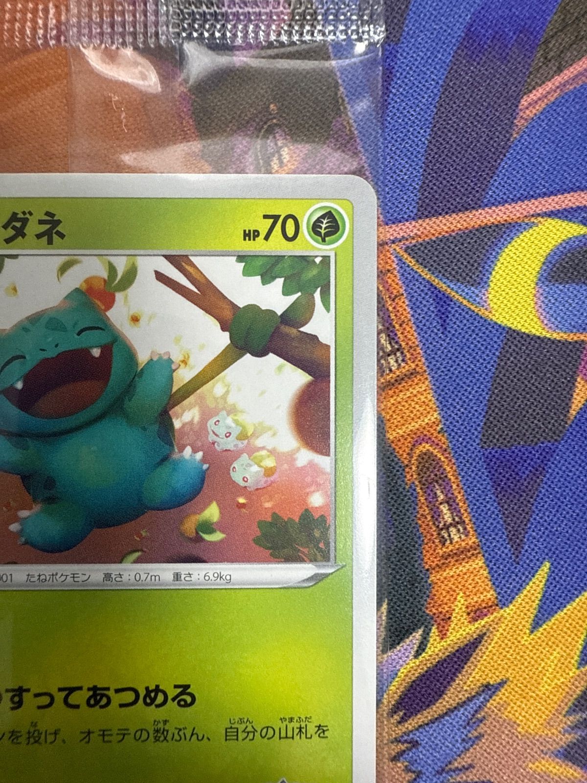 フシギダネ ウインディ ゲッコウガ PROMO 337/S-P 338/S-P 339/S-P