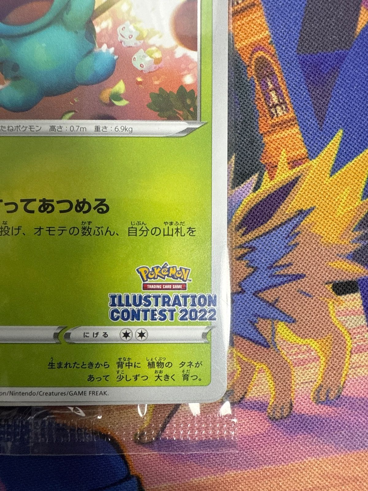 フシギダネ ウインディ ゲッコウガ PROMO 337/S-P 338/S-P 339/S-P