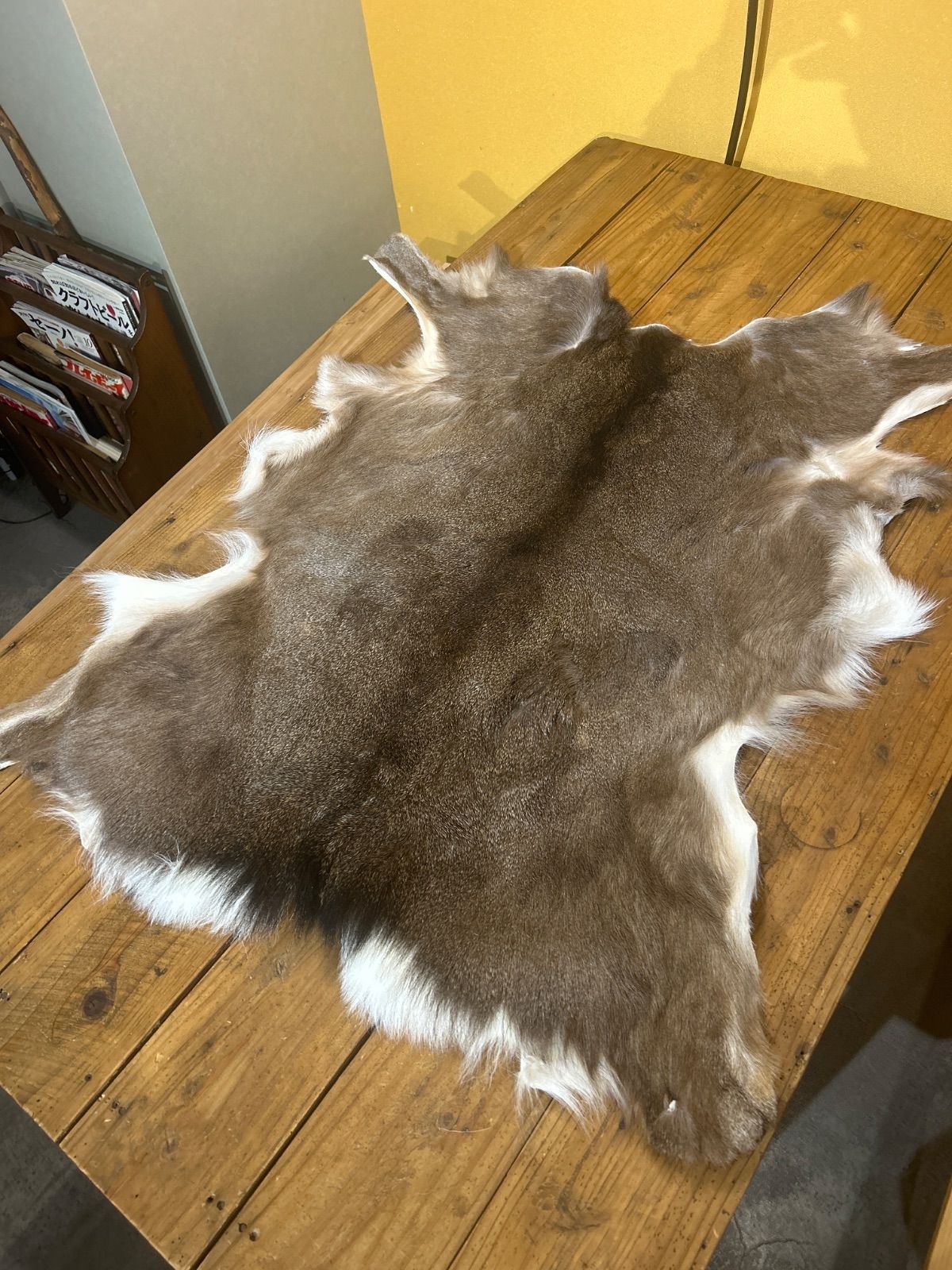 鹿の毛皮 ラグ敷物 毛革 鹿革 鹿14 ブッシュクラフト 野営 キャンプ