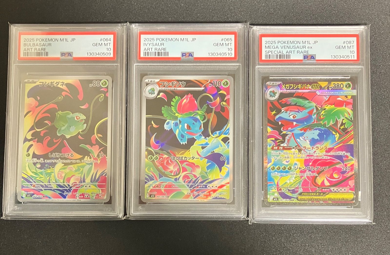 PSA10 3連番 フシギダネ 進化ライン - メルカリ