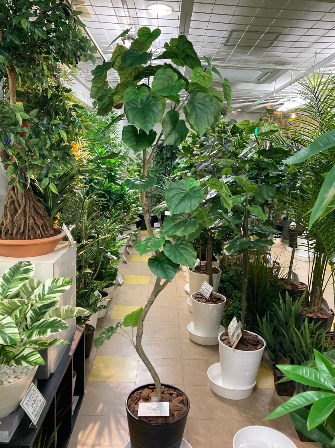 光触媒 人工観葉植物 ウォールグリーン フェイクグリーン コーヒーの木