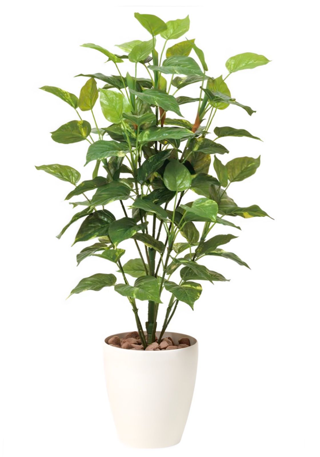 光触媒 人工観葉植物 ウォールグリーン フェイクグリーン トネリココ