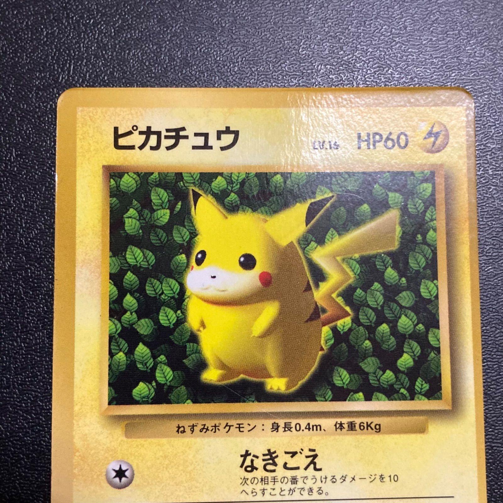 旧裏 ピカチュウ コロコロ プロモ 光沢 ken sugimori 旧裏 ピカチュウ