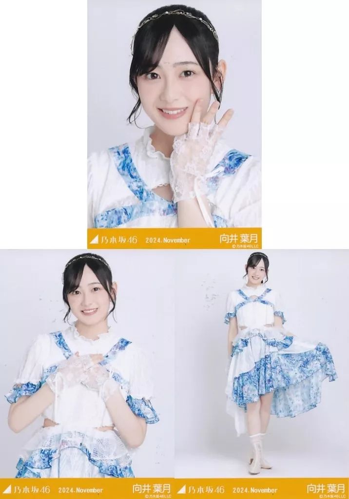 中古】生写真(乃木坂46) ◇向井葉月/「乃木坂46 2024.November