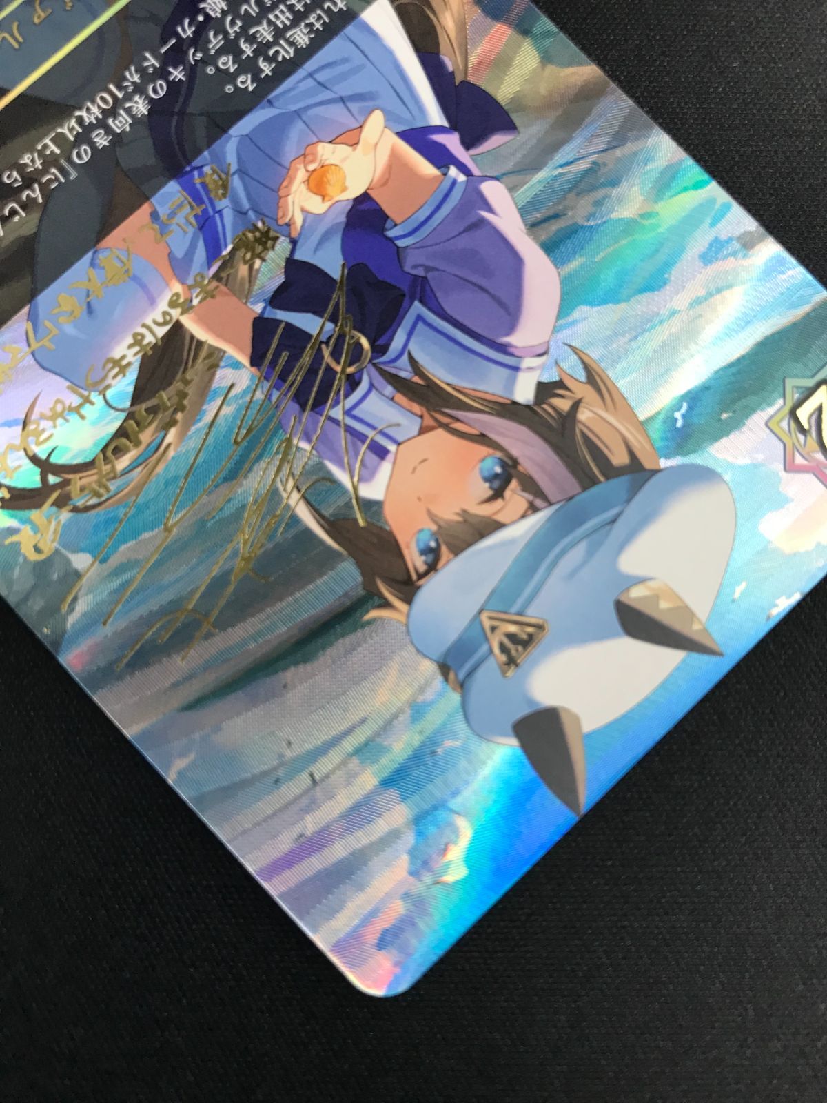 シャドウバース エボルヴ シャドバ シュヴァルグラン SP ECP01-SP09