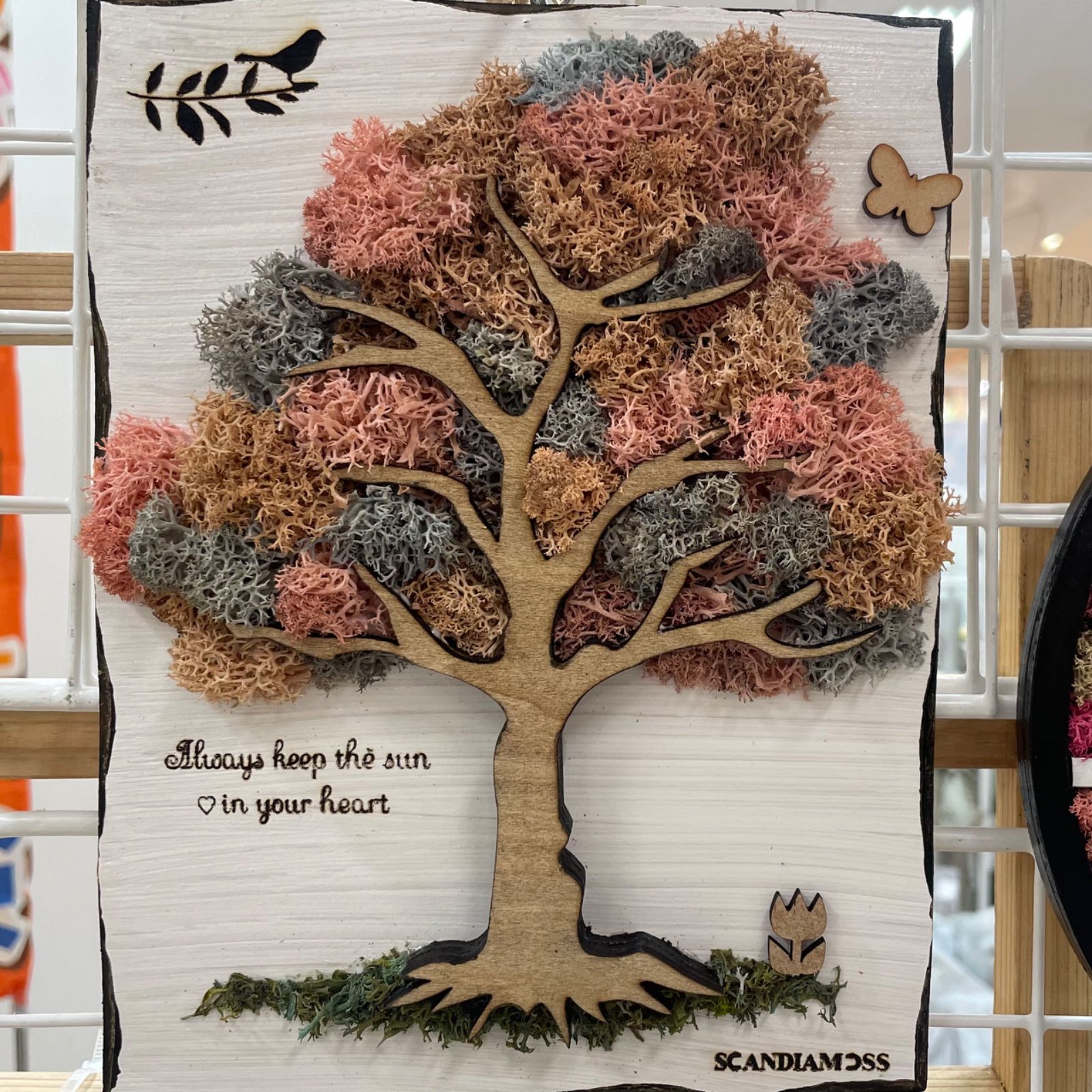 スカンディアモス モスの木 ピンク系 壁掛けインテリア 苔 - メルカリ