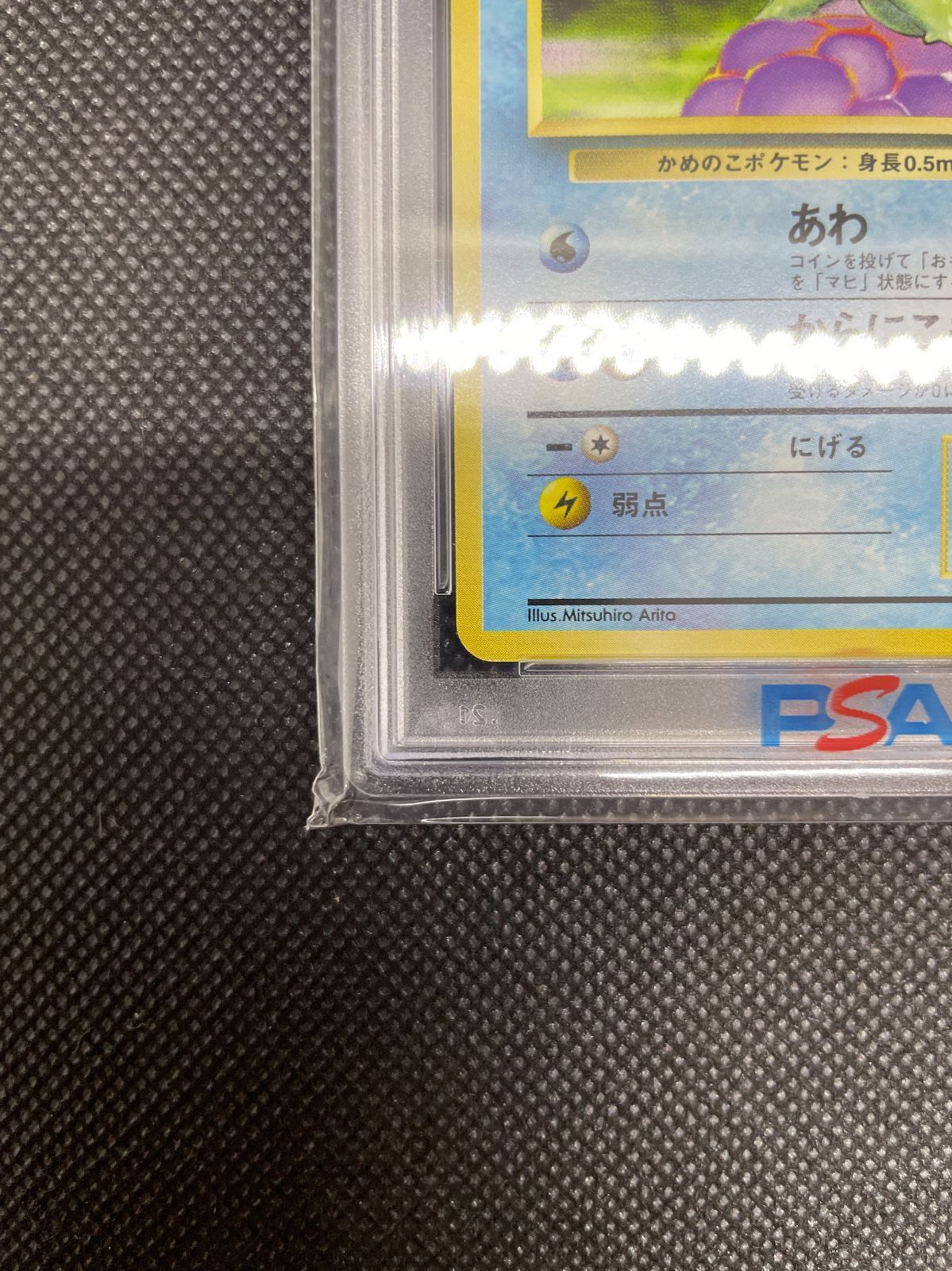 PSA鑑定品】旧裏 ゼニガメ LV.8 PSA10 ポケモンカード 拡張パック第一