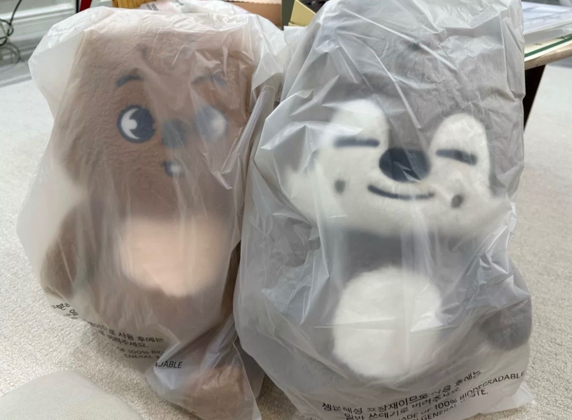 SKZOO PLUSH テディベア リービット StrayKids - メルカリ