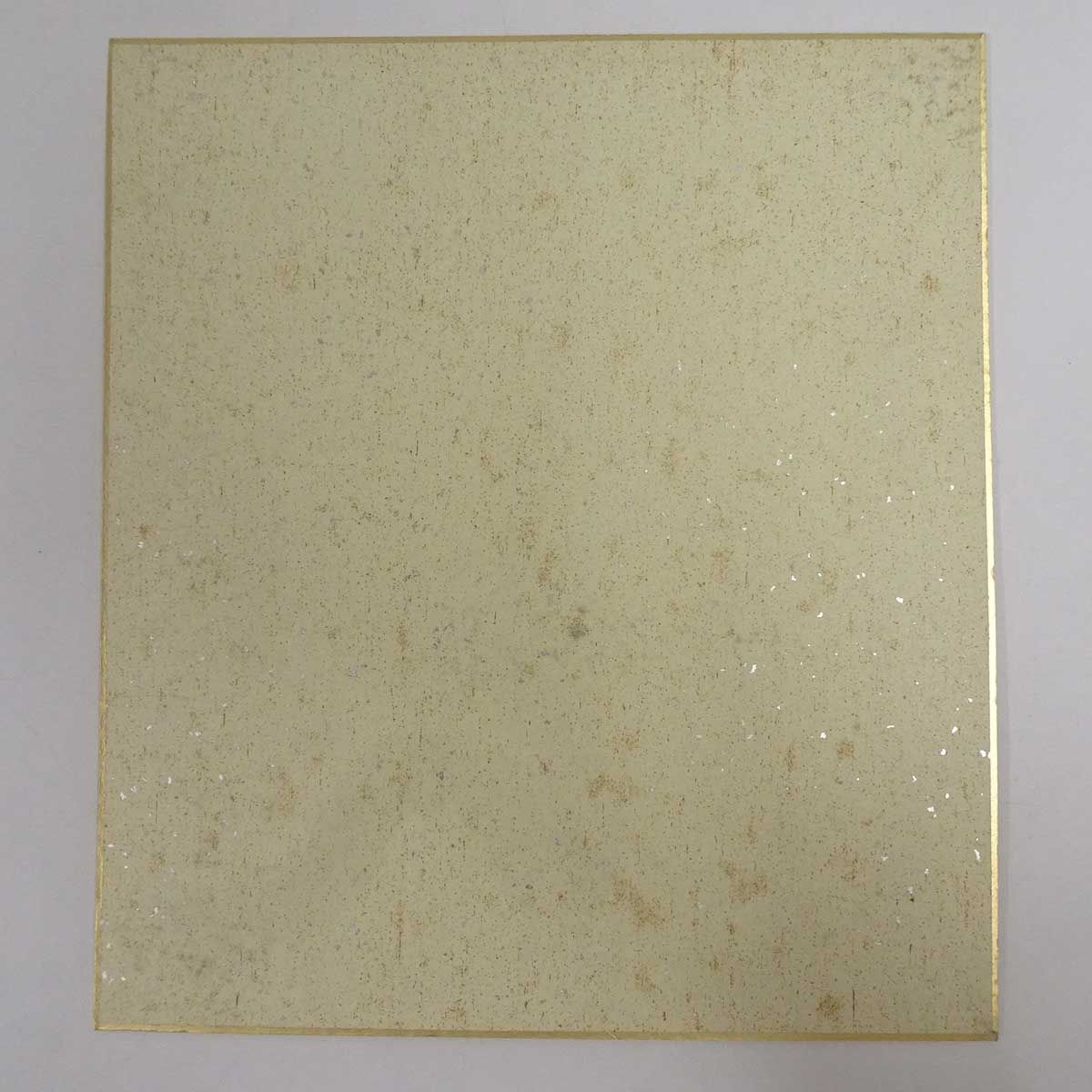 全日本プロレス 川田利明 サイン 色紙 写真 1994 チャンピオン