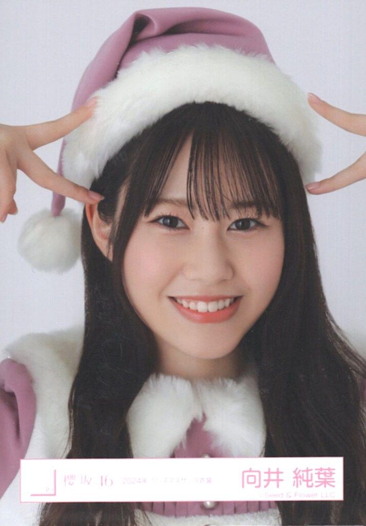 ニ*イ様 向井純葉 直筆サイン入り サンタ衣装2025 櫻坂46 向井純葉