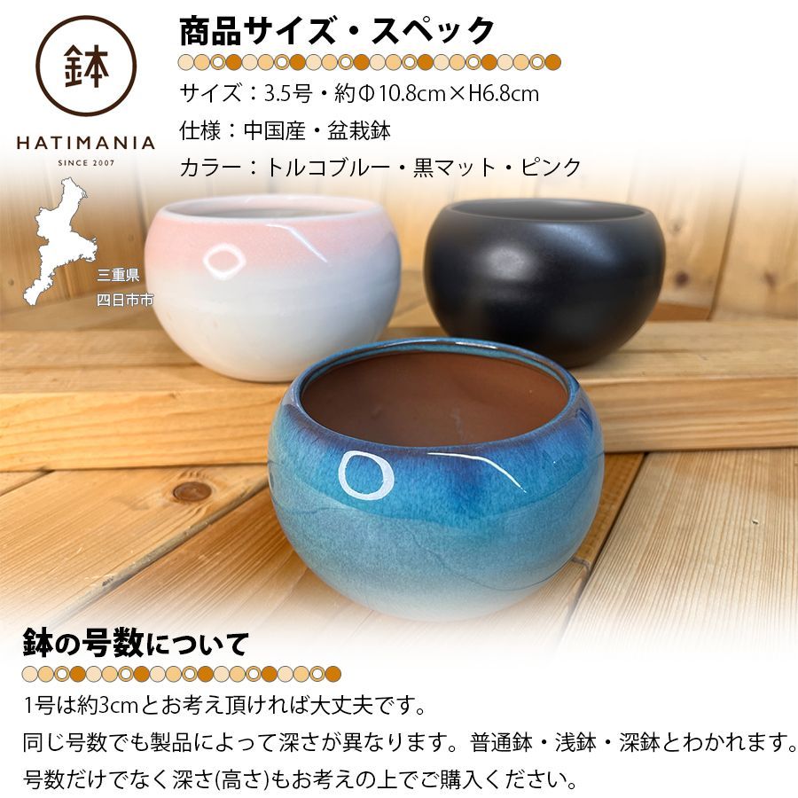 HATIMANIA 鉢マニア 丸 3.5号 盆栽鉢 水が抜けやすい 小さい 小サイズ