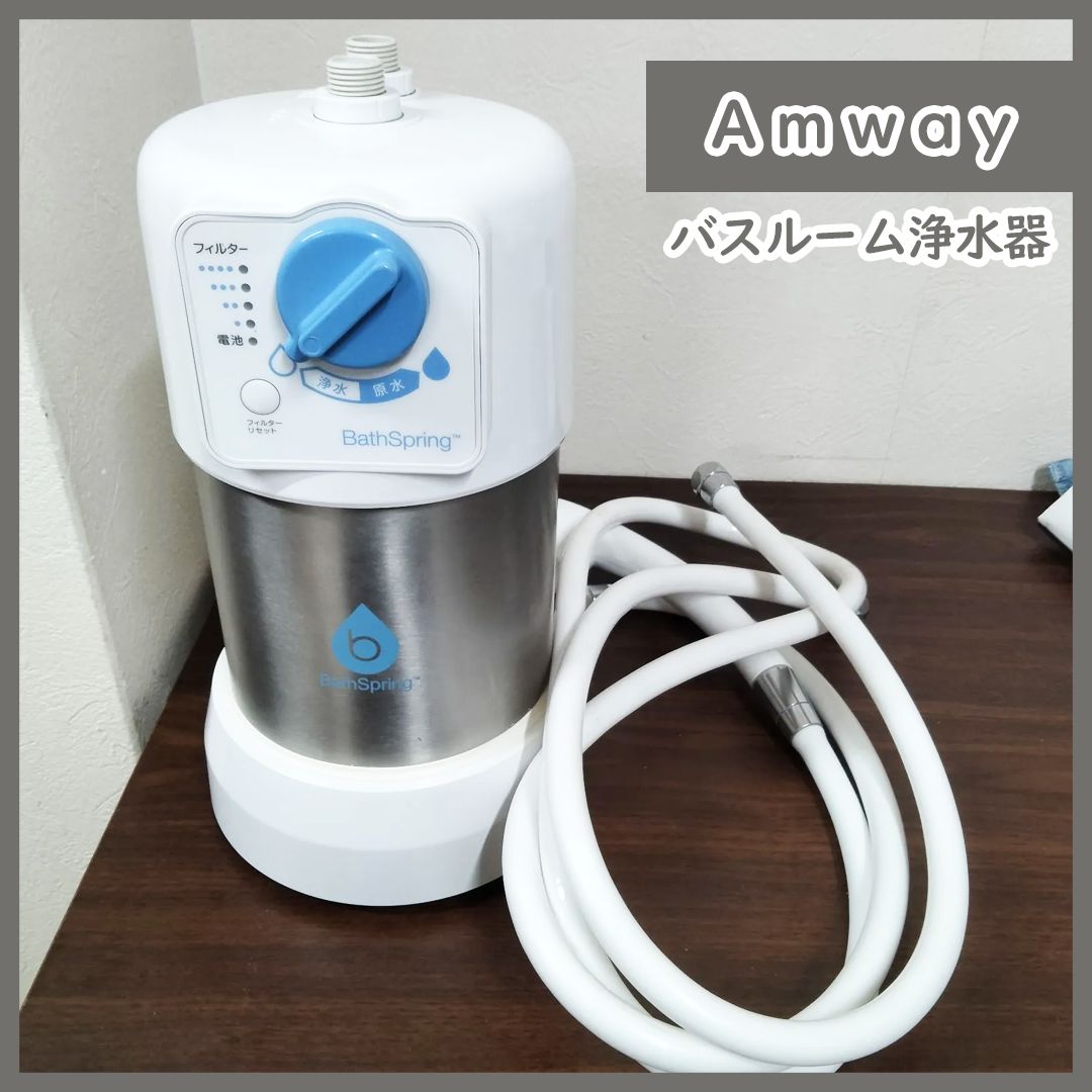 アムウェイ 浄水器 フィルター eSpring 旧型 E4622-J Amway