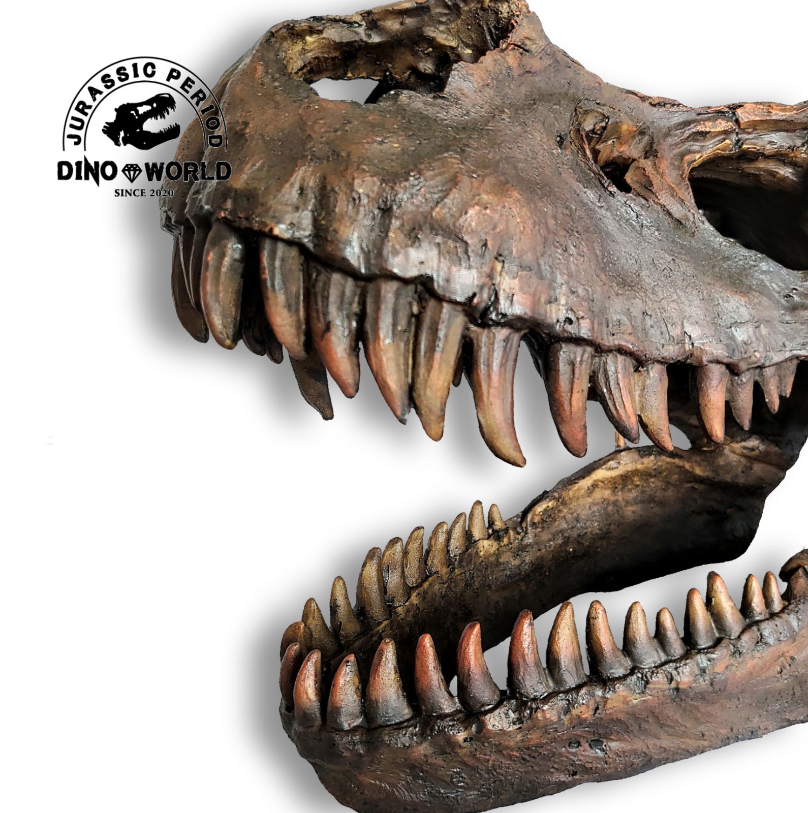 DinoWorld 】 ティラノサウルス 頭骨 恐竜の化石 インテリアオブジェ