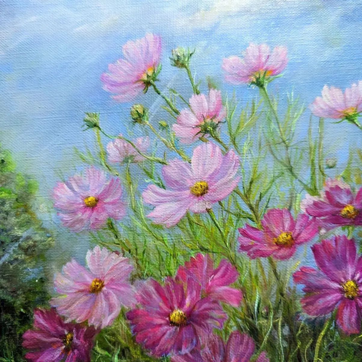 コスモス風景画 painterTMK真筆 「光が舞い降りて…」花の風景画 肉筆