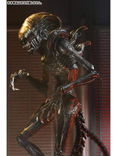 ネカ スコーチド ゼノモーフ 「エイリアン：ロムルス」 アルティメット
