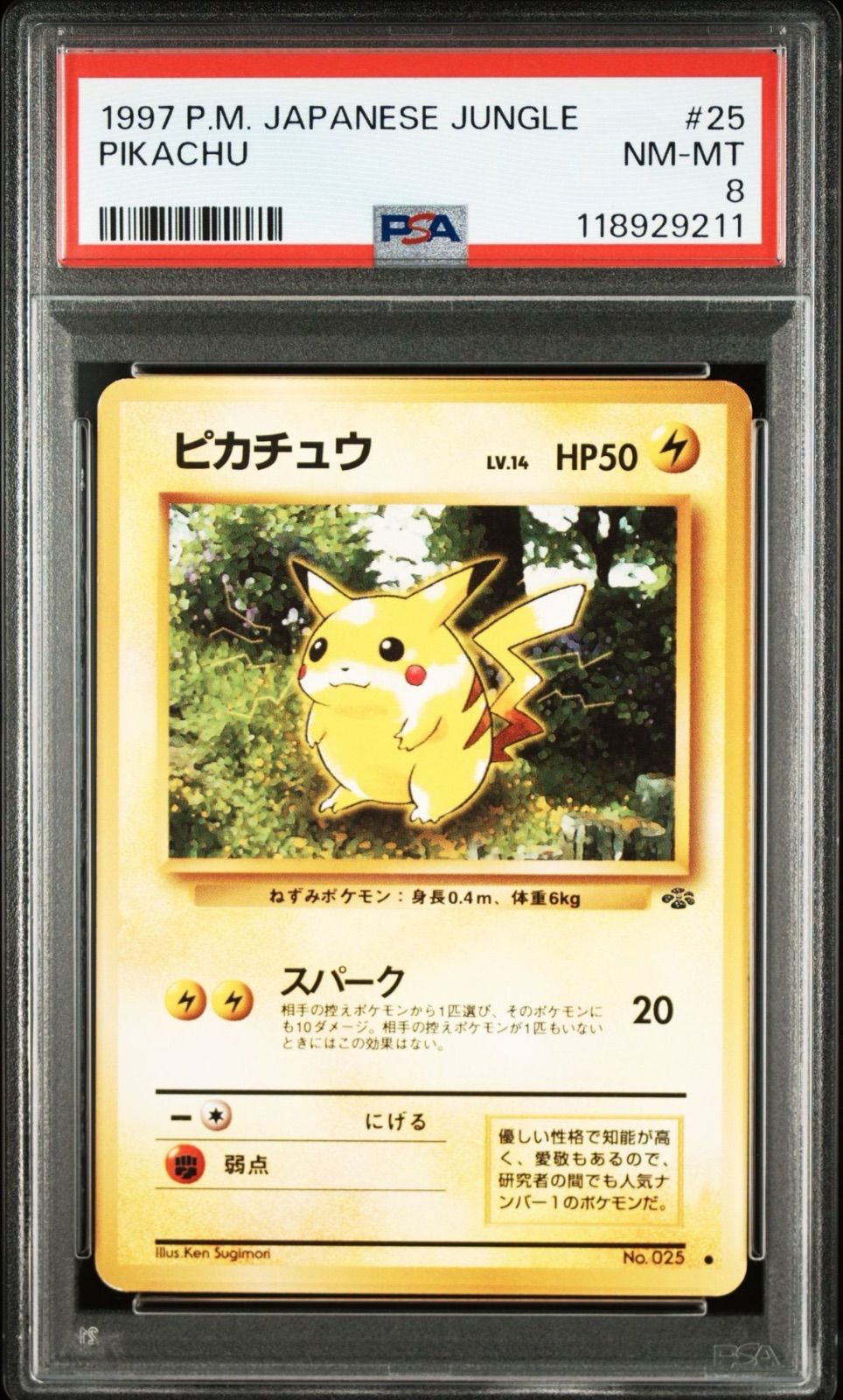 ピカチュウ ○】PSA8 旧裏 ポケモンジャングル ポケモンカード PSA鑑定