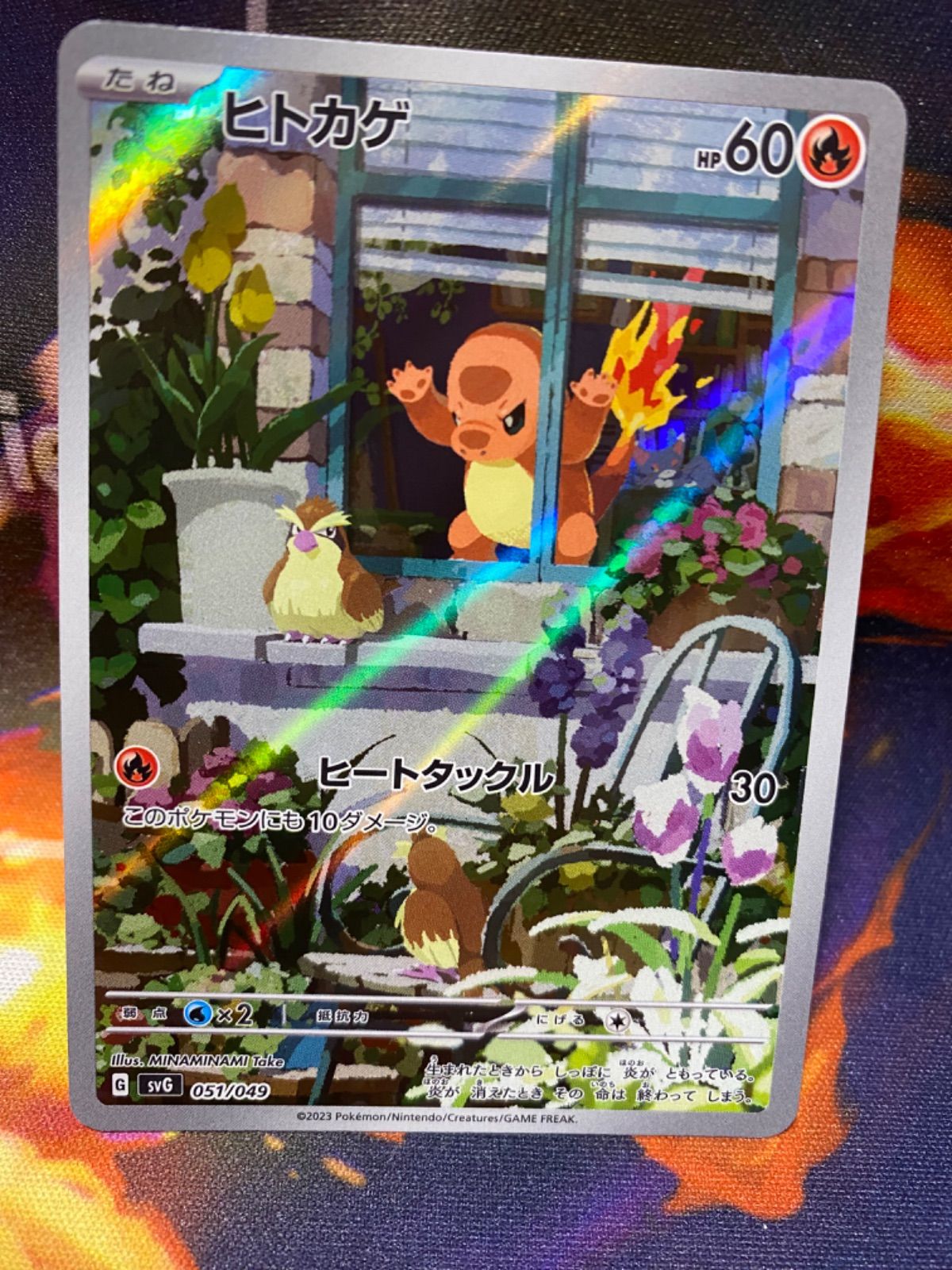 PSA10 3連番 御三家 フシギダネ ヒトカゲ ゼニガメ AR PSA10 3連番 御