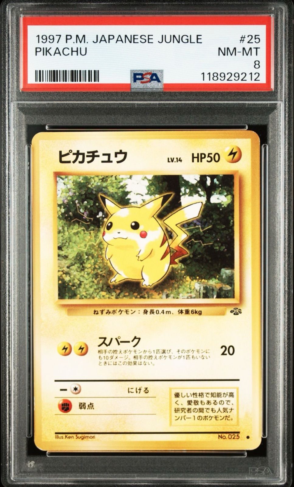ピカチュウ ○】PSA8 旧裏 ポケモンジャングル ポケモンカード PSA鑑定