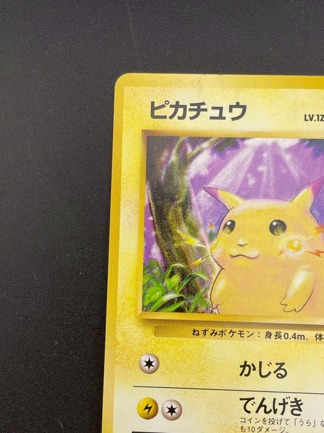中古品】 旧裏 ピカチュウ LV.12 HP40 No.025○ PMCGシリーズ 拡張