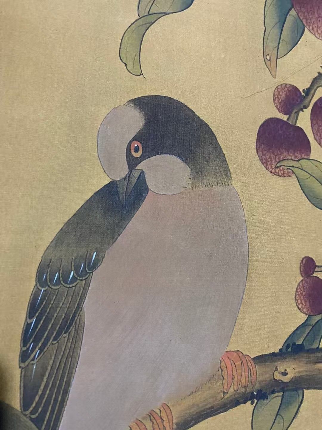 古い 中国掛軸 花鳥 絹本 肉筆 古い 中国掛軸 花鳥 絹本 肉筆 2025年