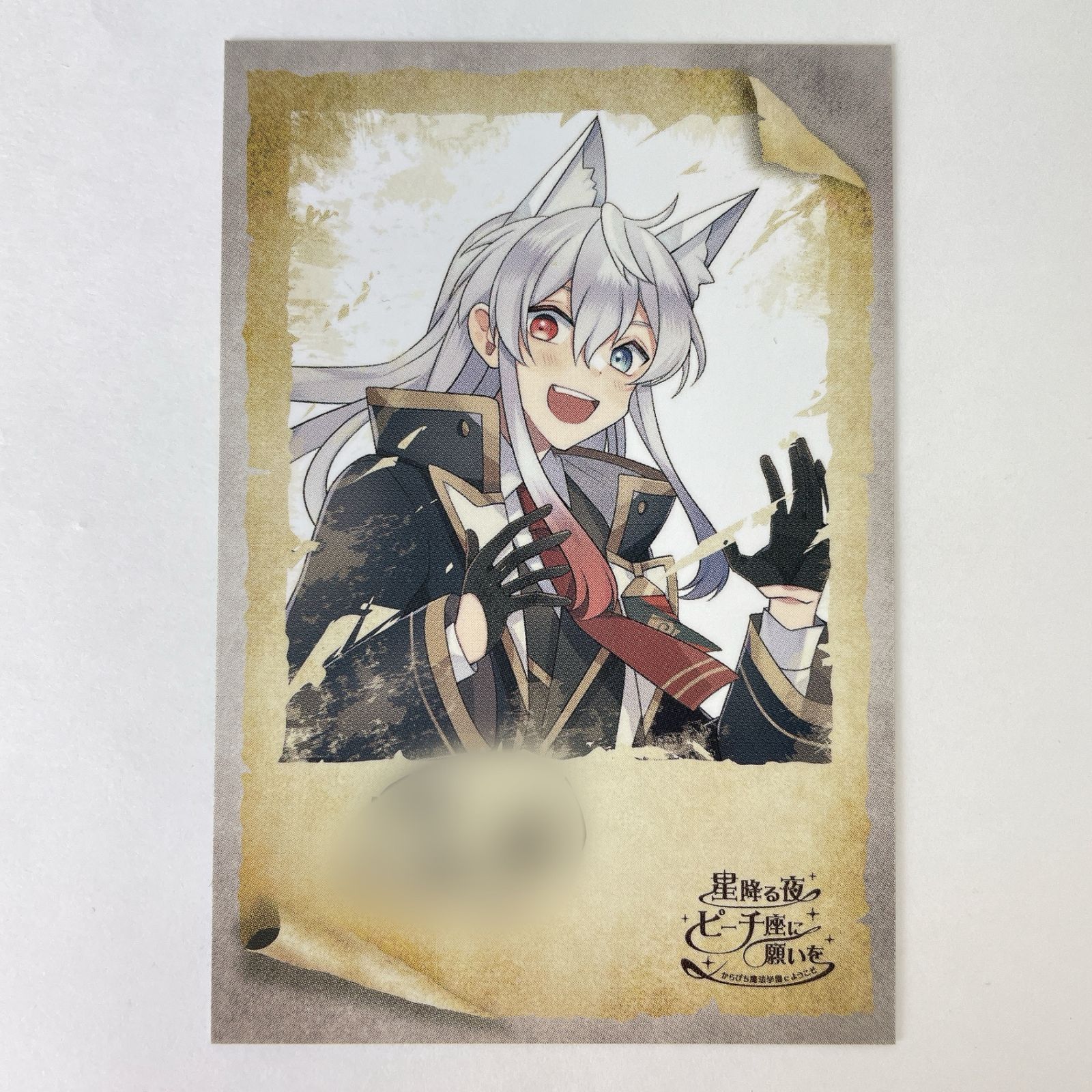 直筆サイン入り] 【シークレット】 どぬく 等身 トレーディングカード