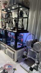 ガレージキット マレニア エルデンリング 未塗装未組立 フィギュア