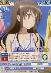 2026年最新】ヴィクトリースパーク 美柑の人気アイテム - メルカリ