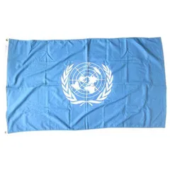 2026年最新】国連 旗の人気アイテム - メルカリ