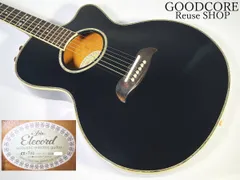 2026年最新】Aria Elecordの人気アイテム - メルカリ