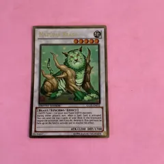 2026年最新】ナチュルビースト 英語の人気アイテム - メルカリ