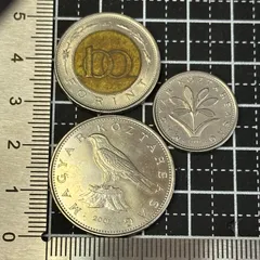 2026年最新】フォリントの人気アイテム - メルカリ