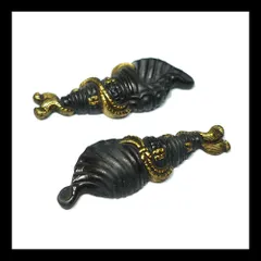 2026年最新】法螺貝の人気アイテム - メルカリ