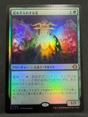 MTG 藪跳ねアヌーリッド 日本語 JUD ジャッジメント - メルカリ