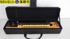 2026年最新】ライリッシュ大正琴の人気アイテム - メルカリ