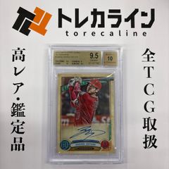 ヴァイスシュヴァルツ アクセル・ワールド 《ネガ・ネビュラス》 黒雪