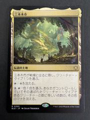 MTG 豊かな在郷 英語 拡張アート ECC ローウィンの昏明 統率者 EDH