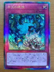 2026年最新】命王の螺旋の人気アイテム - メルカリ