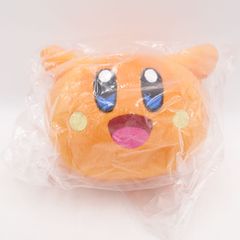 Dreamcatcher スア FC Insomnia 3期 入会特典 セット ポストカード