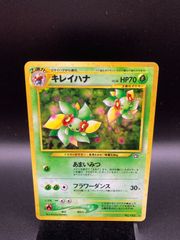 PSA10 ガーディ 初版 マークなし 旧裏 旧裏面 NO RARITY SYMBOL