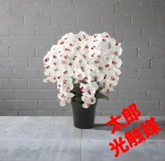 光触媒 人工観葉植物 ウォールグリーン フェイクグリーン ローレル90