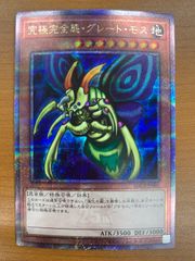 状態A 四島に咲く一輪の薔薇 佐藤院 SP サイン OS05/R05-057SP