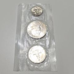 長】日秘有効通商航海条約締結100周年記念 ペルー 100ソル銀貨×1枚 銀